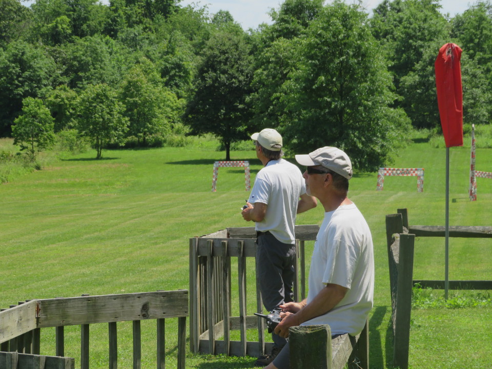 That's not a real eagle!