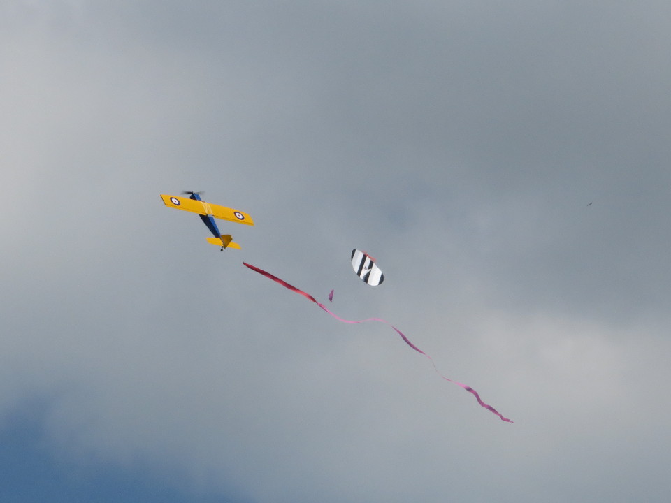 Sitting in the shade